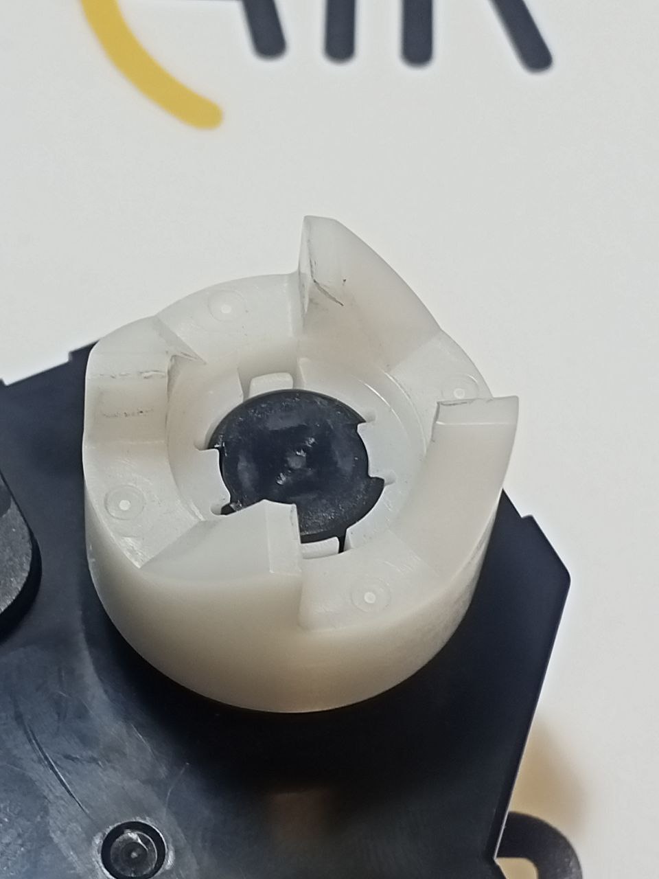 photo_2025-08-11_15-31-30